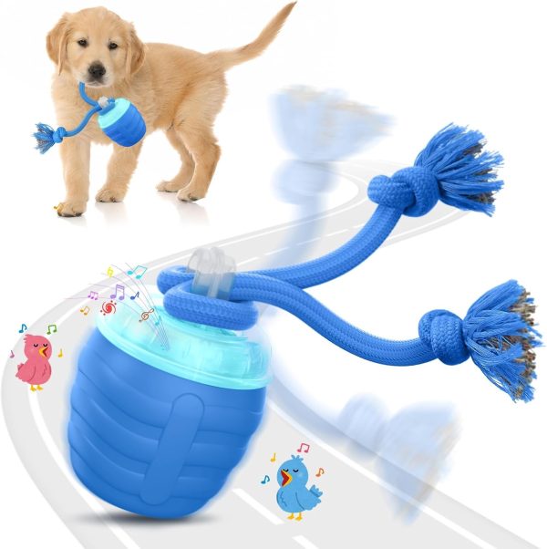 Interactive Dog Toys Ball, Motion Activated Dog Toy for Medium/Large Dogs, Wicked Balls for Boredom, Dogs Toy to Keep Them Busy(Blue)