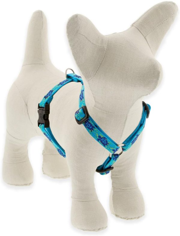 1/2" Turtle Reef 12-20" Adjustable Roman Dog Harness for Small Dogs
